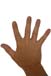 hand