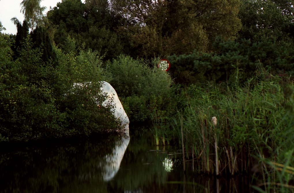 in neon geschreven, Het is niet zo. Het kunstwerk hangt hoog in de boom in het Siegerspark, Amsterdam