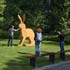 beeldende kunst lokt reacties uit van het publiek op de keukenhof