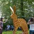 beeldende kunst lokt reacties uit van het publiek op de keukenhof
