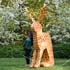 beeldende kunst lokt reacties uit van het publiek op de keukenhof
