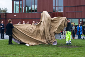 unveiling