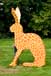 this is a giraf in the gardens at Arcen castle