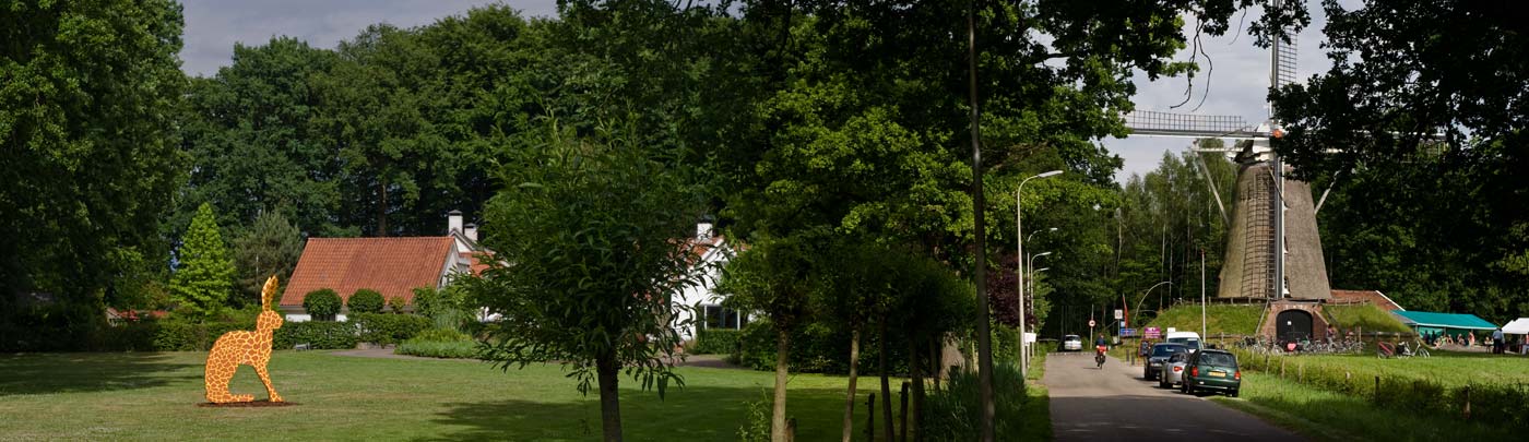 dit is een giraf in het landschap van Lonneker
