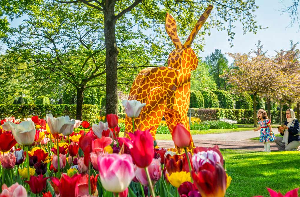 Dit is een giraf, het beeld lijkt op een haas met de patronen van giraf. De foto is gemaakt door Wim Wiskerke