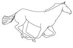 Das Pferd im Galopp