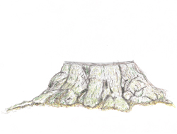 tekening van een oude boomstronk met als titel Über meiner Mütze nur die Sterne
