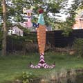 een gekleurde verticale vis